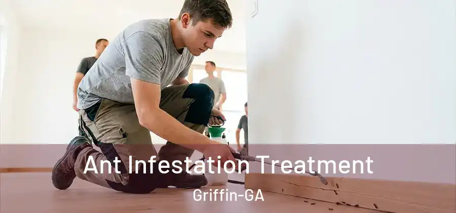  Ant Infestation Treatment Griffin-GA