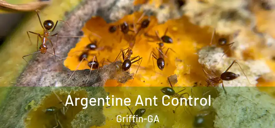 Argentine Ant Control Griffin-GA