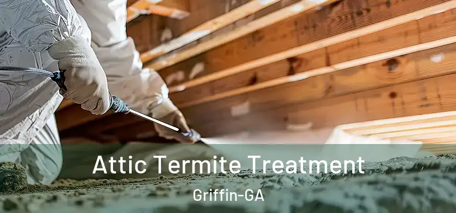 Attic Termite Treatment Griffin-GA