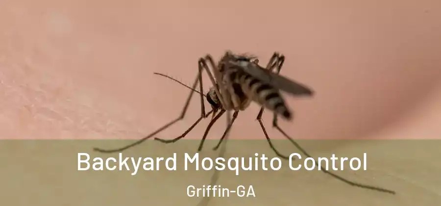 Backyard Mosquito Control Griffin-GA