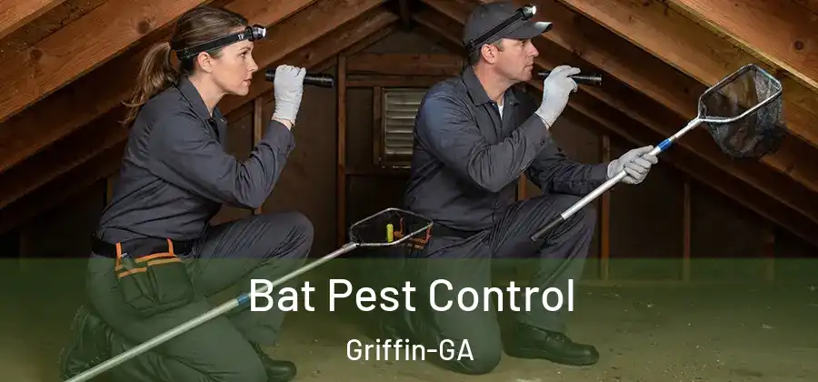 Bat Pest Control Griffin-GA