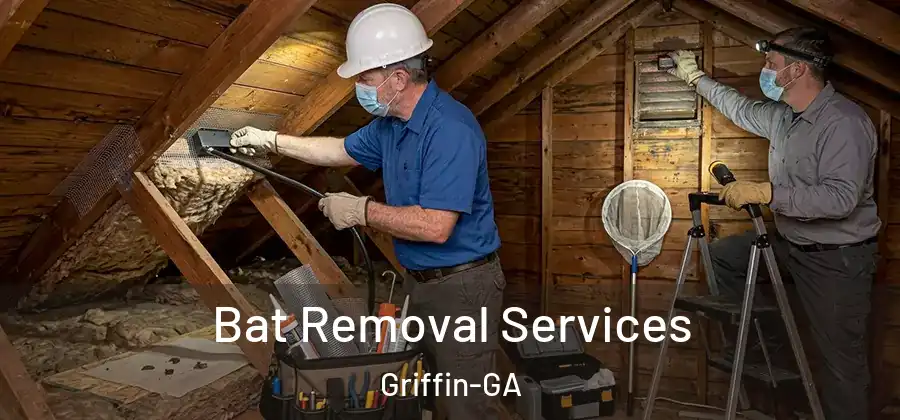 Bat Removal Services Griffin-GA