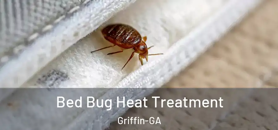 Bed Bug Heat Treatment Griffin-GA