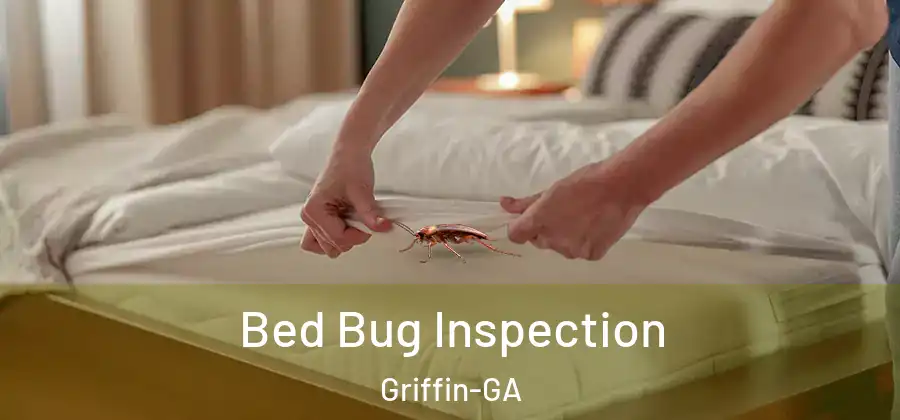 Bed Bug Inspection Griffin-GA
