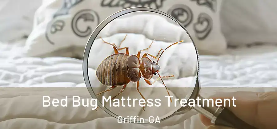 Bed Bug Mattress Treatment Griffin-GA