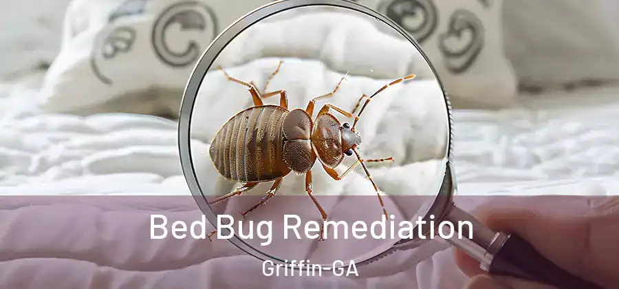 Bed Bug Remediation Griffin-GA