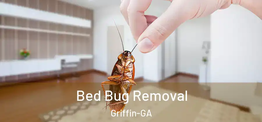 Bed Bug Removal Griffin-GA