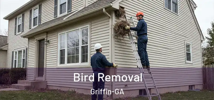 Bird Removal Griffin-GA