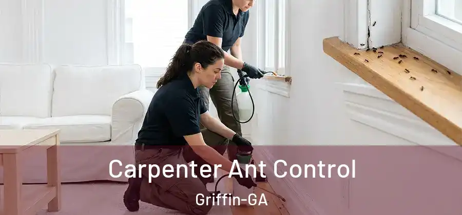 Carpenter Ant Control Griffin-GA