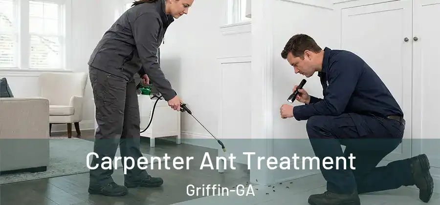 Carpenter Ant Treatment Griffin-GA