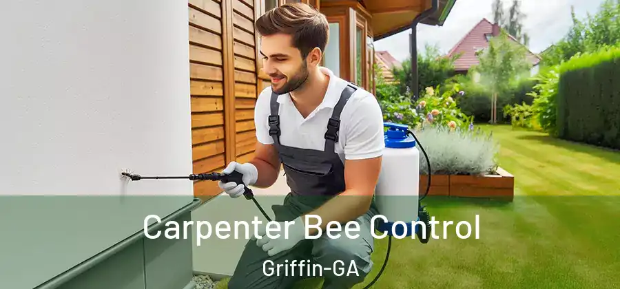 Carpenter Bee Control Griffin-GA
