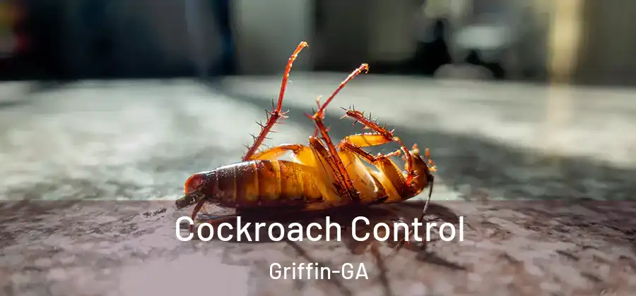 Cockroach Control Griffin-GA