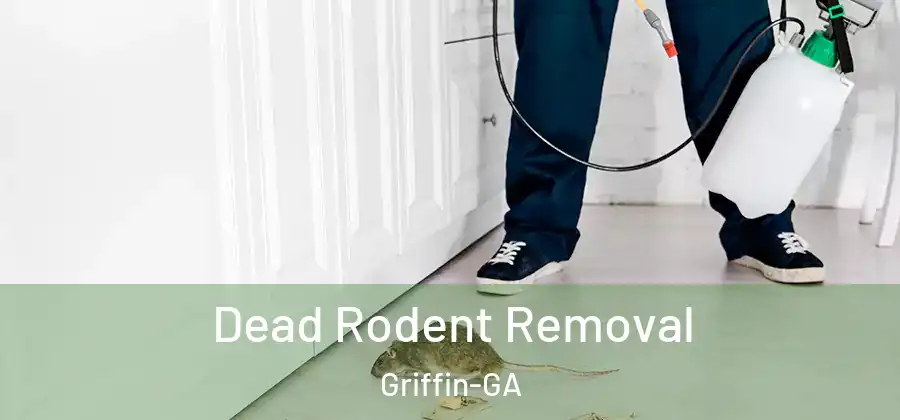Dead Rodent Removal Griffin-GA