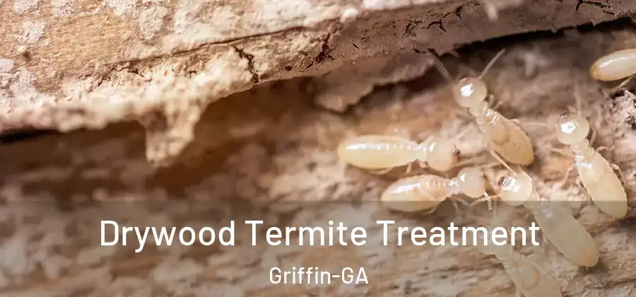 Drywood Termite Treatment Griffin-GA