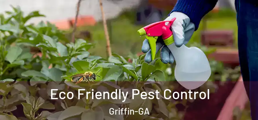 Eco Friendly Pest Control Griffin-GA