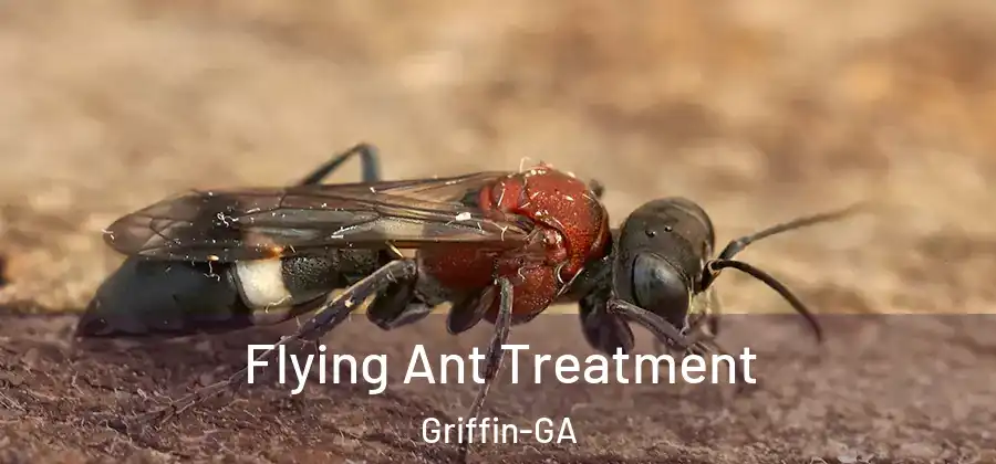 Flying Ant Treatment Griffin-GA