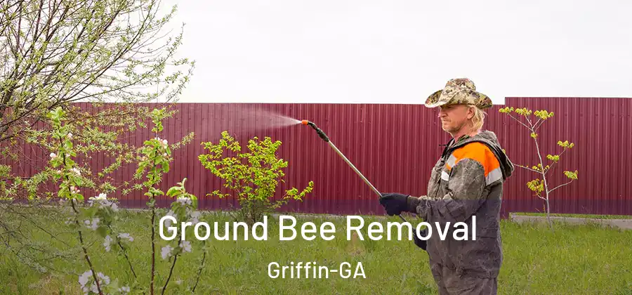 Ground Bee Removal Griffin-GA