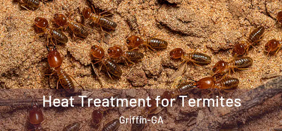 Heat Treatment for Termites Griffin-GA