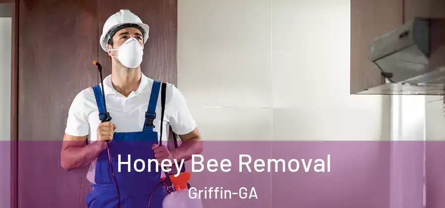 Honey Bee Removal Griffin-GA