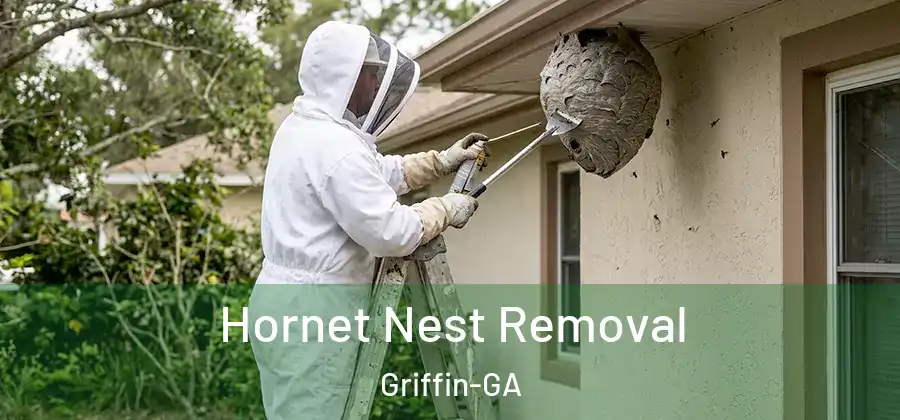 Hornet Nest Removal Griffin-GA