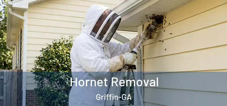 Hornet Removal Griffin-GA