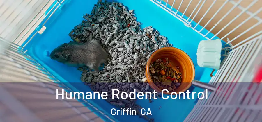 Humane Rodent Control Griffin-GA