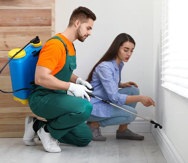 Trusted Affordable Bed Bug Treatment Experts in Griffin, GA