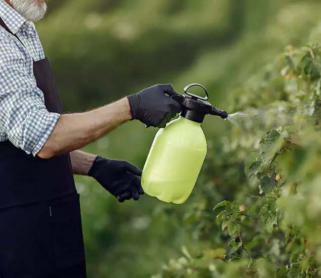 Your Proven Mosquito Treatment Company in Griffin, GA
