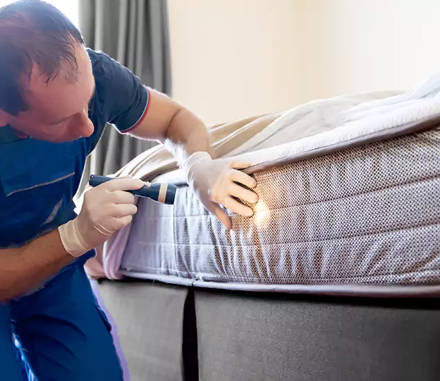 Trusted Bed Bug Cost Experts in Griffin, GA