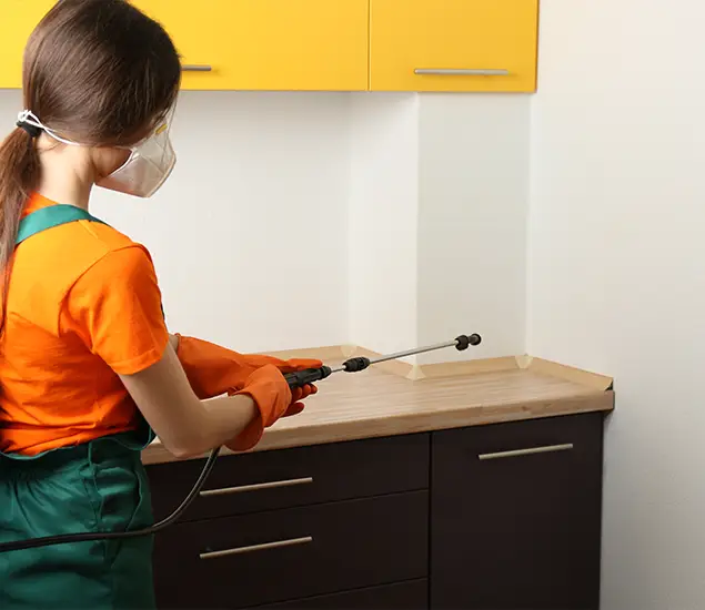 Trusted Bed Bug Pest Control Specialist in Griffin, GA