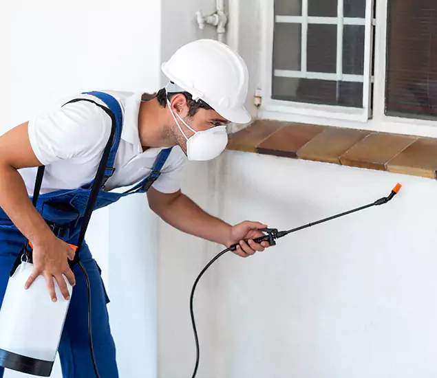 Your Professional Cockroach Exterminator in Griffin, GA