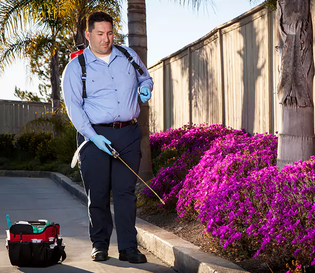 About Our Eco Safe Pest Control Experts in Griffin, GA