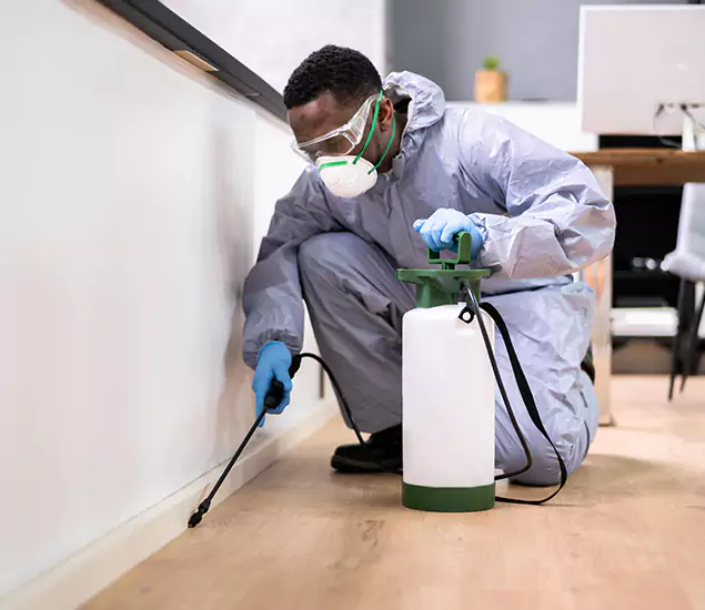Leading Industrial Pest Control Experts Serving Griffin, GA