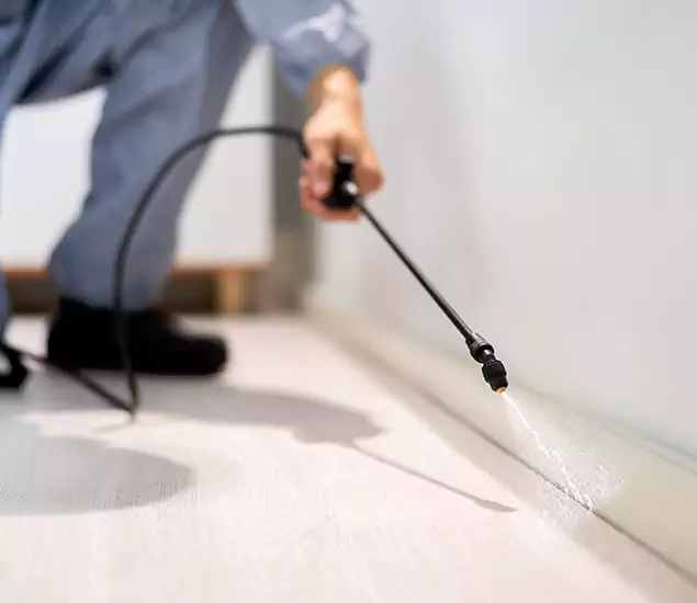 About Our Liquid Termite Treatment Experts in Griffin, GA