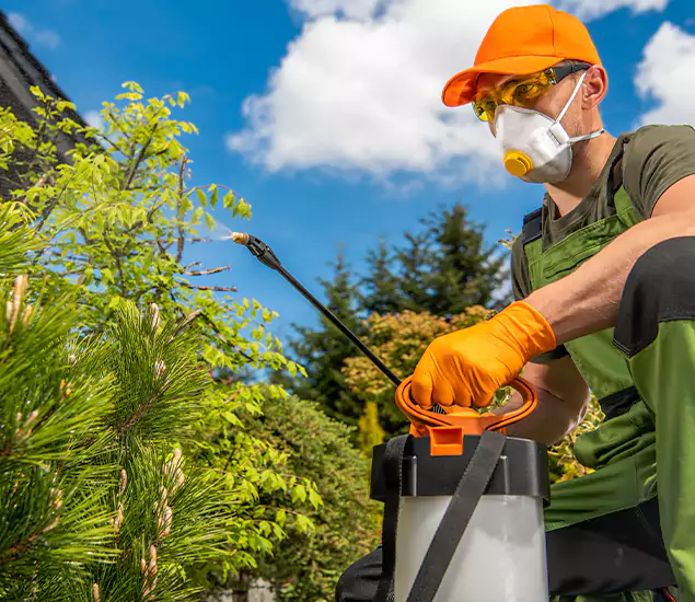 Your Mosquito Repellent Barrier Service in Griffin, GA