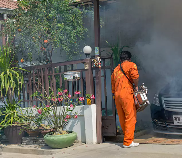 Your Proven Mosquito Fogging Company in Griffin, GA