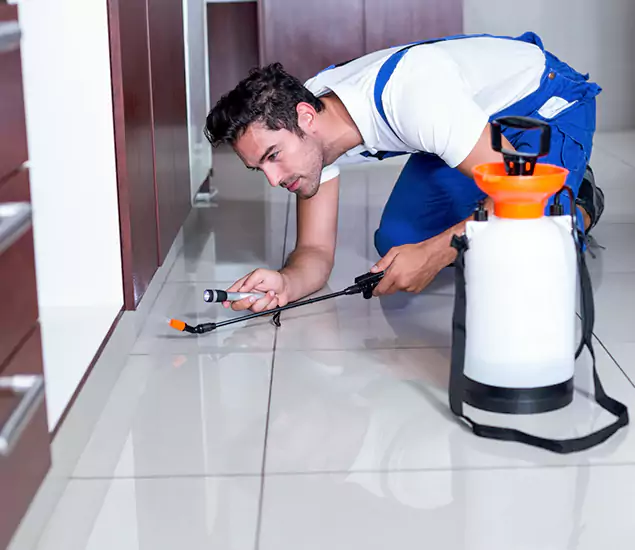 Reliable Professional Mouse Removal: Your Best Mouse Control Company in Griffin, GA