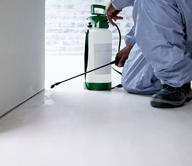 Affordable Pest Control Experts in Griffin, GA