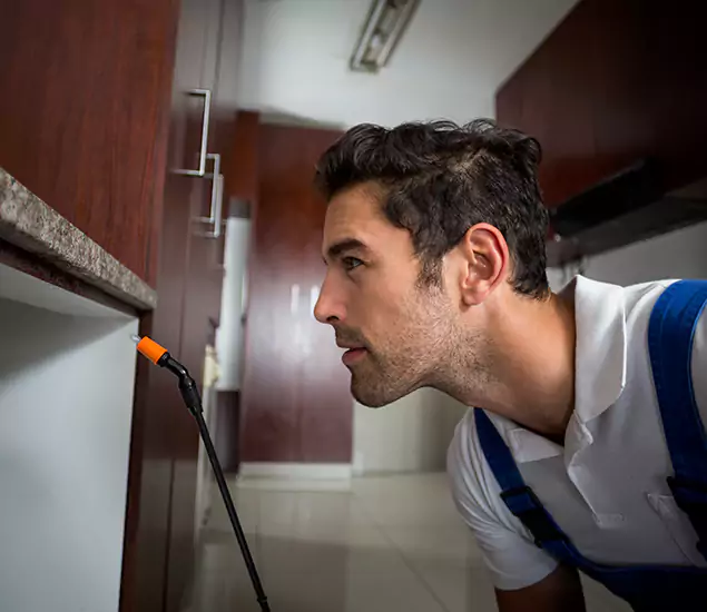 Expert Rodent in Attic Removal: Your Proven Pest Specialists in Griffin, GA
