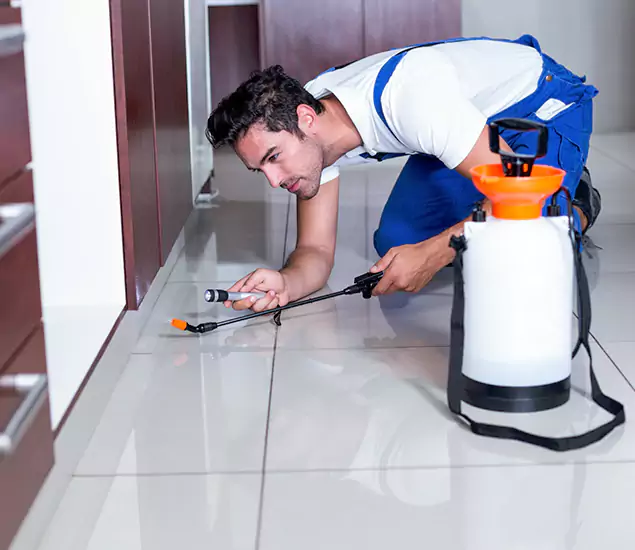 Advanced Slab Termite Treatment Experts You Can Trust&nbsp;in Griffin, GA