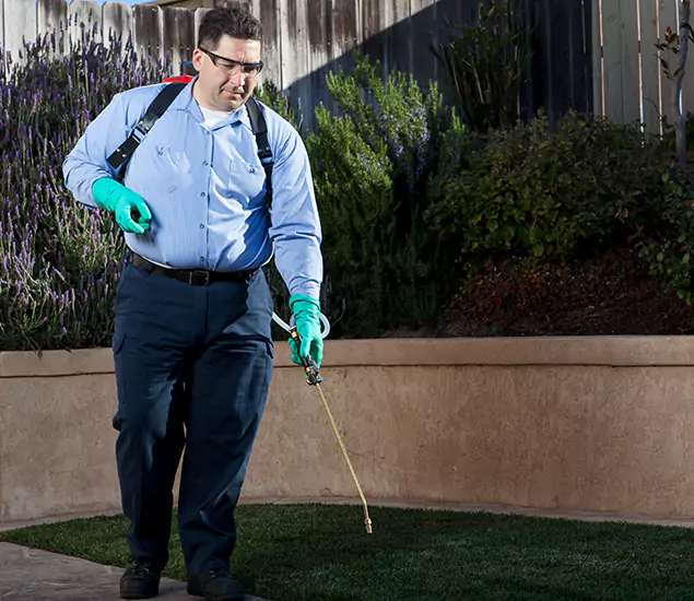 Reliable Termite Barrier Treatment Experts in Griffin, GA