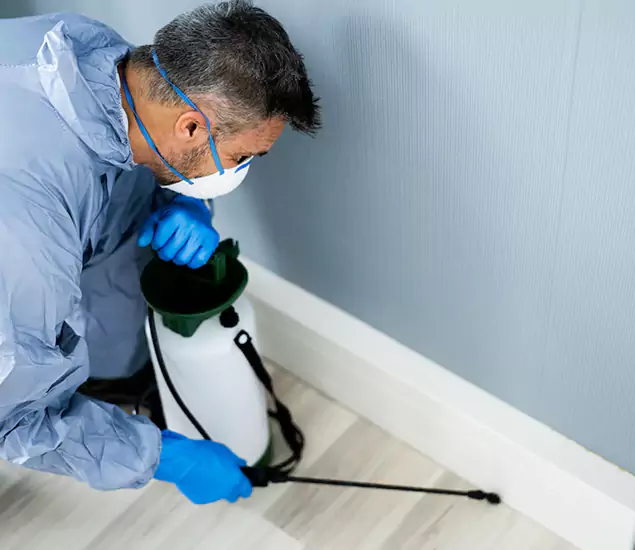 Reliable Termite Cost Experts in Griffin, GA