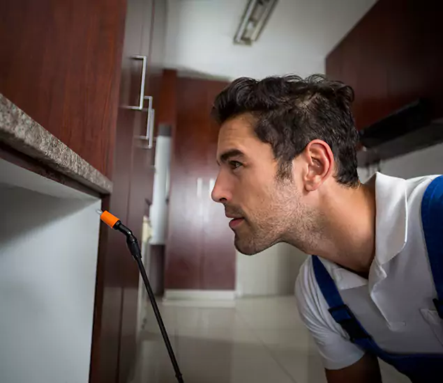 Termite Inspection Cost Experts You Can Trust in Griffin, GA