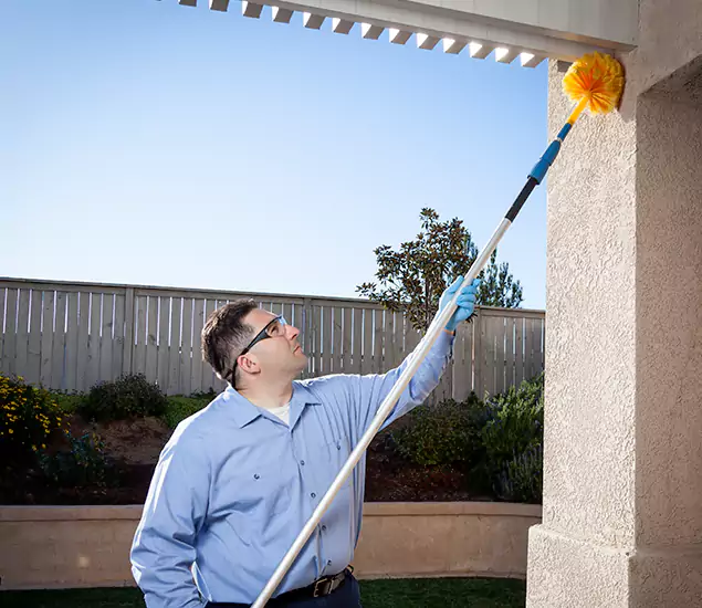 Your Trusted Wasp Removal Company in Griffin, GA