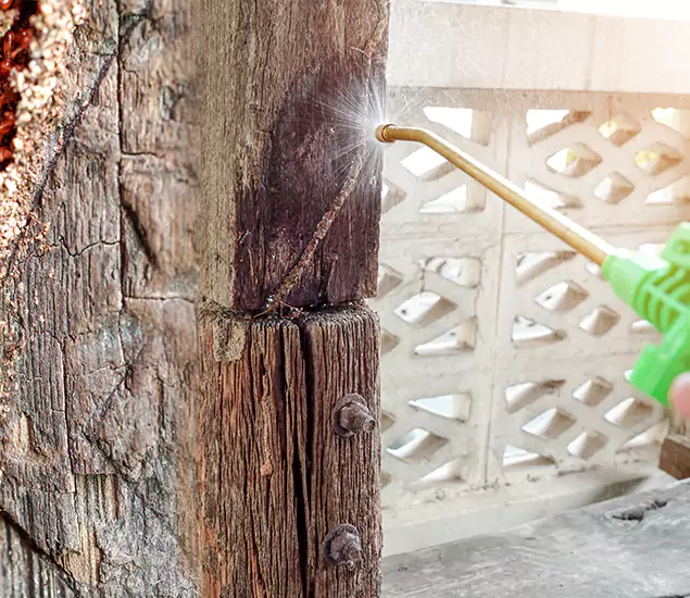 About Wood Termite Treatment Services in Griffin, GA