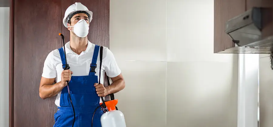 Per Room Bed Bug Cost in Griffin