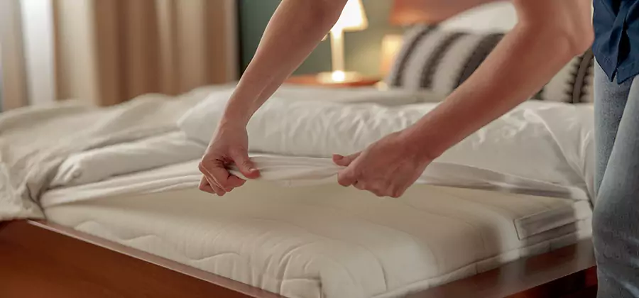 Bed Bug Extermination Services in Griffin