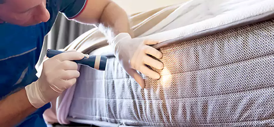 Residential Bed Bug Treatment Cost in Griffin
