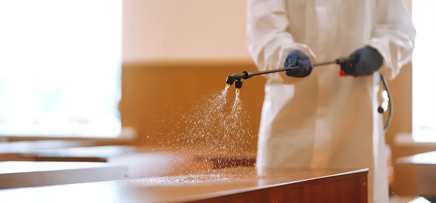 Residential Bed Bug Treatment Option in Griffin