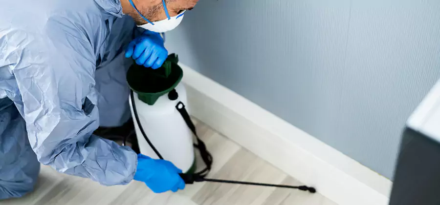 Fumigate Apartment Roaches in Griffin